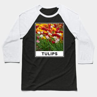 The Beauty of Colorful Tulip Flower Accompanied by a Gentle Breeze Photography Baseball T-Shirt